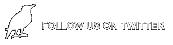 follow us on twitter